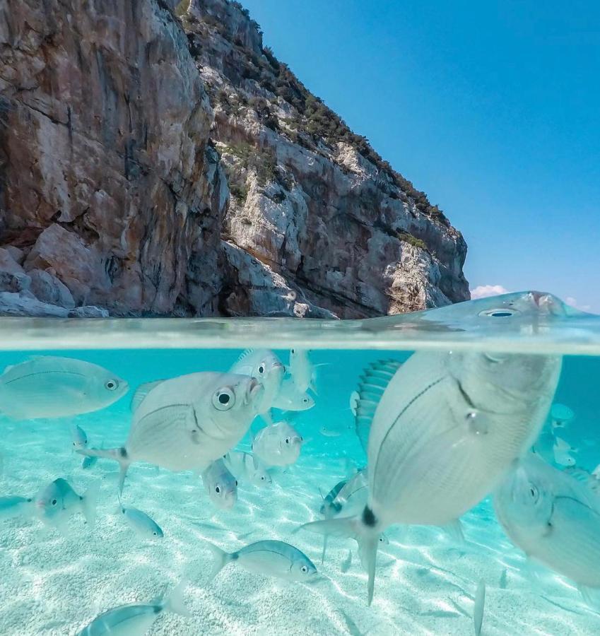 Cala Gonone, Casa I Pini Apartman Kültér fotó